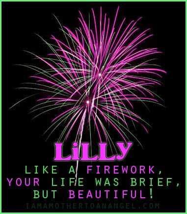 lilly - fireworks